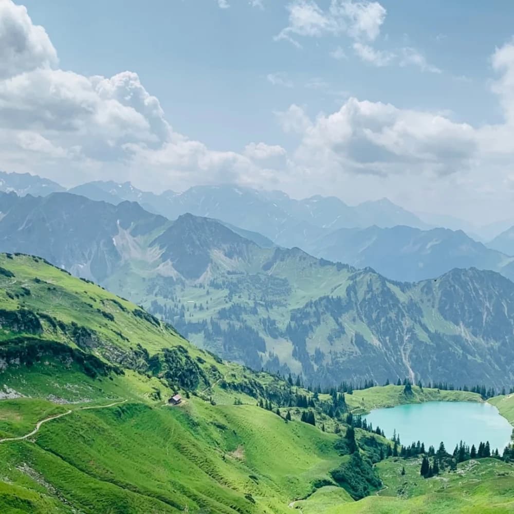 Reforestation in Germany